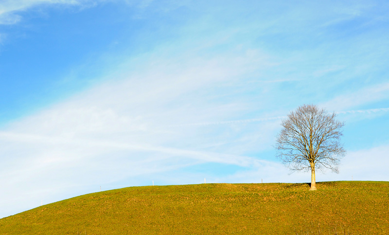 landschaften-005.jpg