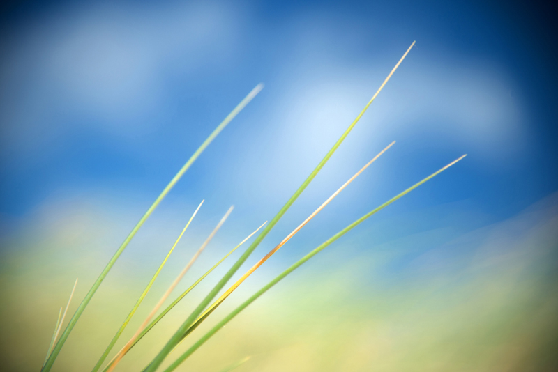 natur-001.jpg