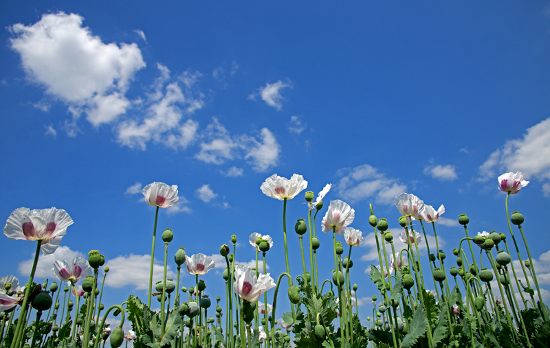 natur-002.jpg