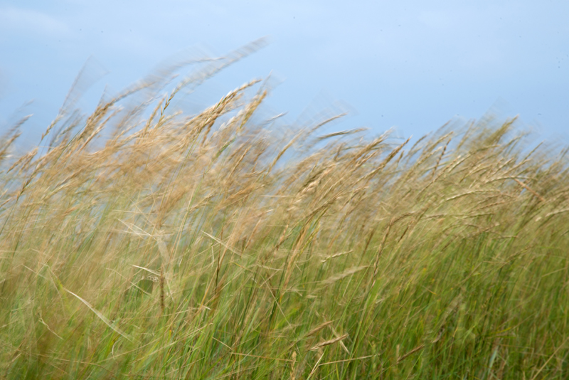 natur-005.jpg