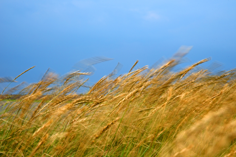 natur-007.jpg