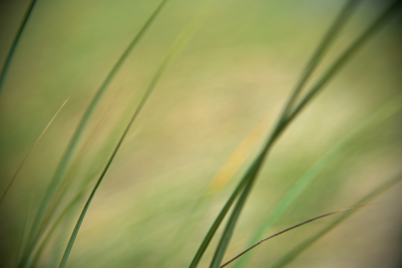 natur-008.jpg